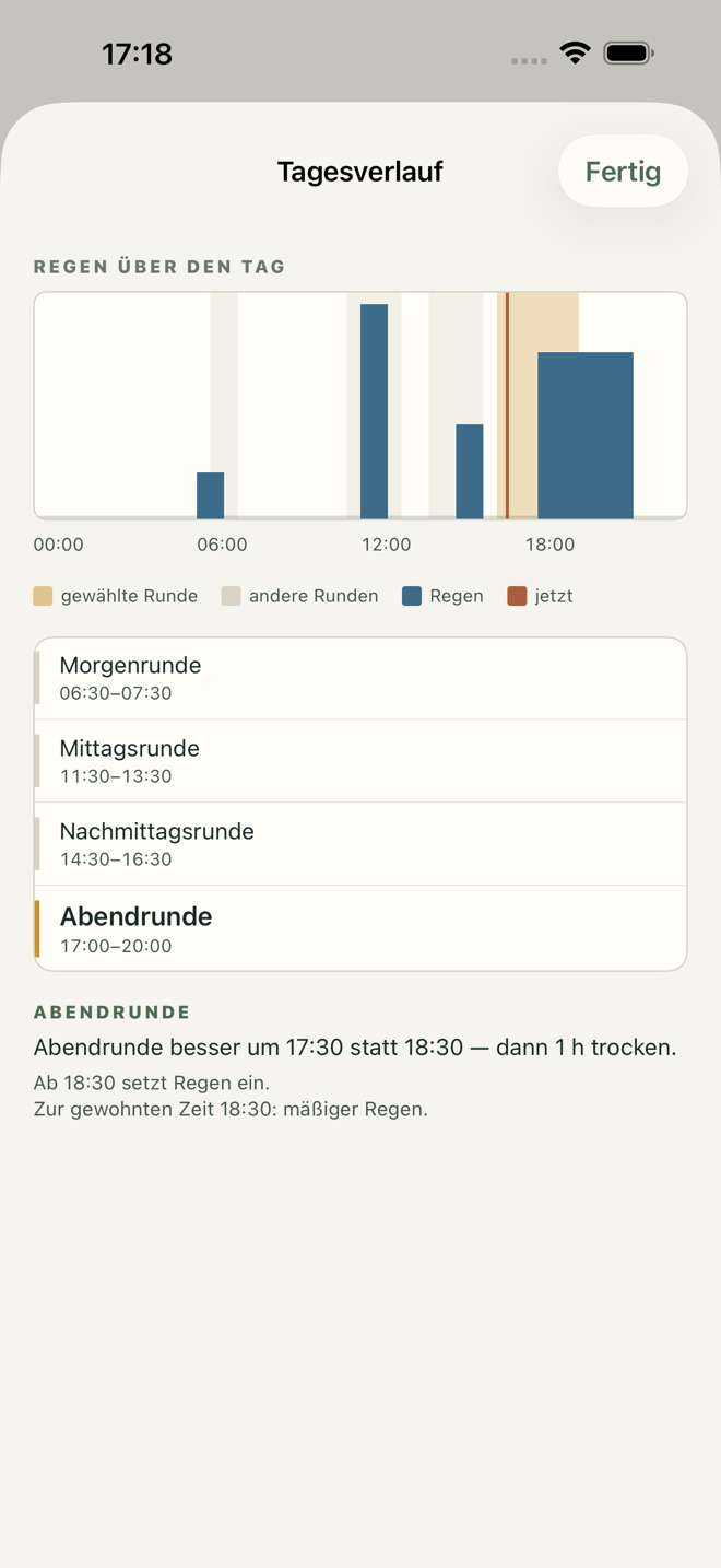 Regenverlauf des Tages mit allen Runden darin